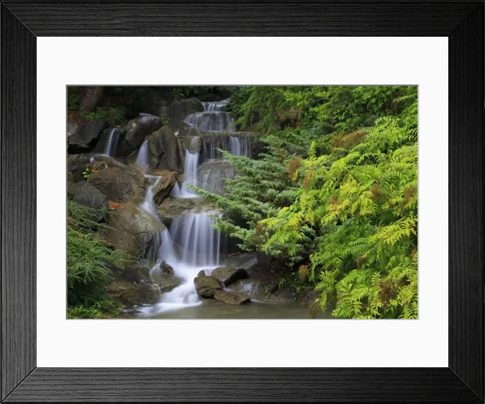 Framed Print : Waterfall, VanDusen Gardens, Vancouver, British Columbia, Canada, North America Framed Print : Waterfall, VanDusen Gardens, Vancouver, British Columbia, Canada, North America