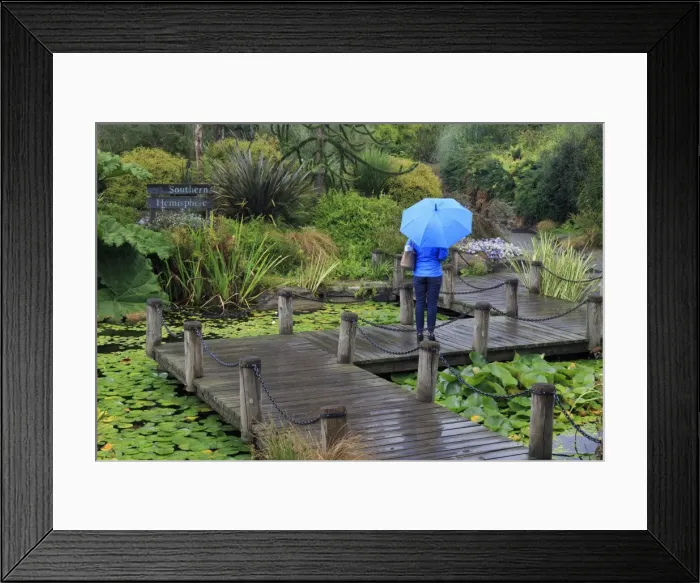 Framed Print : VanDusen Gardens, Vancouver, British Columbia, Canada, North America