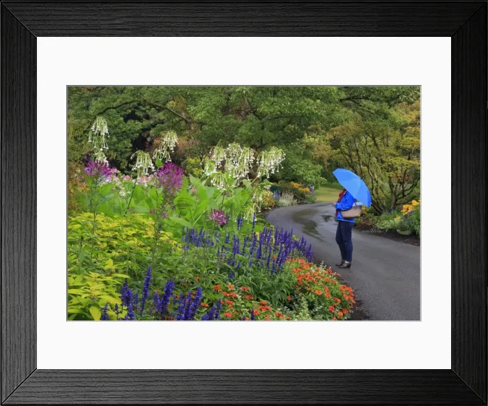 Framed Print : VanDusen Gardens, Vancouver, British Columbia, Canada, North America Framed Print : VanDusen Gardens, Vancouver, British Columbia, Canada, North America