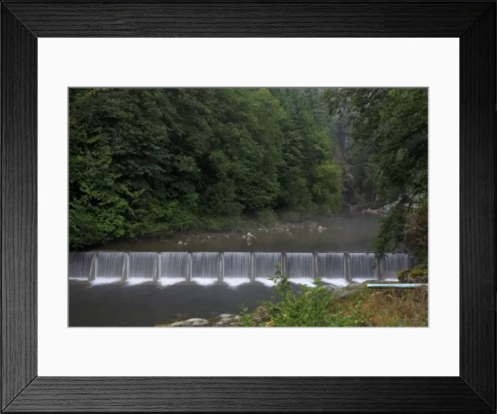 Framed Print : Capilano River Regional Park, Vancouver, British Columbia, Canada, North America Framed Print : Capilano River Regional Park, Vancouver, British Columbia, Canada, North America