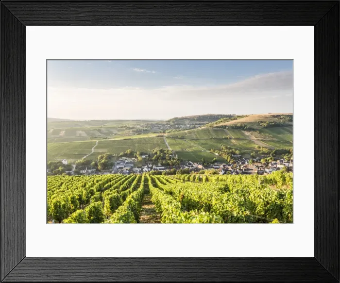 Framed Print : The vineyards of Sancerre above Chavignol, Cher, Centre, France, Europe Framed Print : The vineyards of Sancerre above Chavignol, Cher, Centre, France, Europe