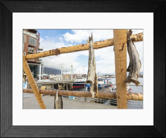 Framed Print : Details of the wooden rack with dried stockfish at the harbor of Svolvaer, Vagan