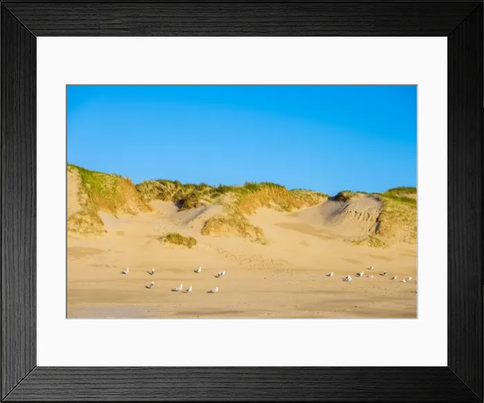 Framed Print : Dunes and beach on the North Sea, Julianadorp, North Holland, Netherlands, Europe Framed Print : Dunes and beach on the North Sea, Julianadorp, North Holland, Netherlands, Europe