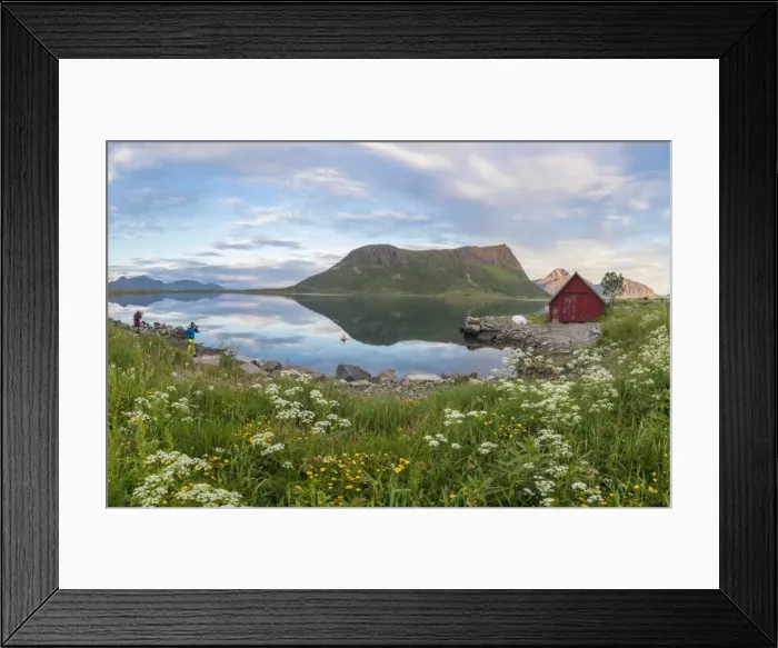 Framed Print : Flowers and grass frame the typical rorbu and peaks reflected in sea at night, Vengeren Framed Print : Flowers and grass frame the typical rorbu and peaks reflected in sea at night, Vengeren