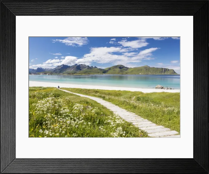 Framed Print : Green meadows and flowers surrounded by turquoise sea and fine sand, Ramberg, Lofoten Islands Framed Print : Green meadows and flowers surrounded by turquoise sea and fine sand, Ramberg, Lofoten Islands