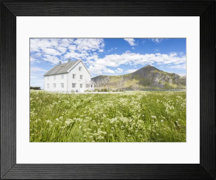 Framed Print : Field of blooming flowers frame the typical wooden house surrounded by peaks and blue sea