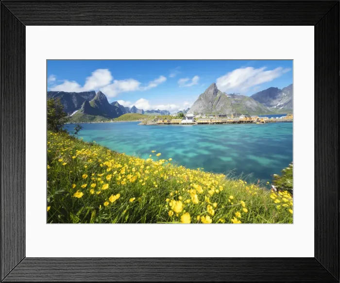 Framed Print : Yellow flowers in bloom beside the turquoise sea and the fishing village of Sakrisoy Framed Print : Yellow flowers in bloom beside the turquoise sea and the fishing village of Sakrisoy