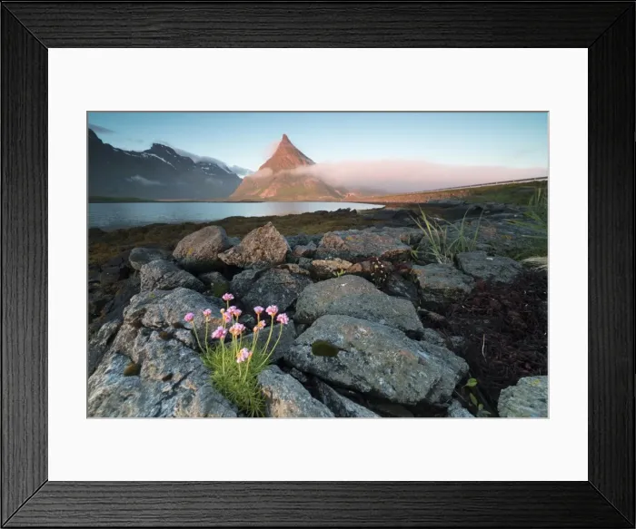 Framed Print : View of the rocky peak of Volanstinden lit by the midnight sun surrounded by sea Framed Print : View of the rocky peak of Volanstinden lit by the midnight sun surrounded by sea