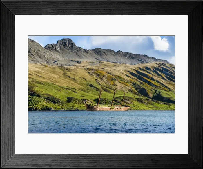 Framed Print : Stranded old whaling boat, Ocean Harbour, South Georgia, Antarctica, Polar Regions Framed Print : Stranded old whaling boat, Ocean Harbour, South Georgia, Antarctica, Polar Regions