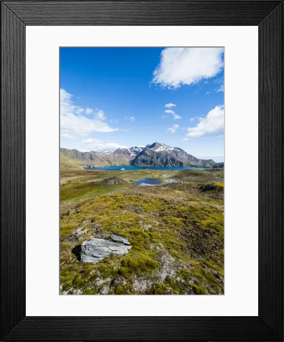 Framed Print : Overlook over the bay of Godthul, South Georgia, Antarctica, Polar Regions Framed Print : Overlook over the bay of Godthul, South Georgia, Antarctica, Polar Regions