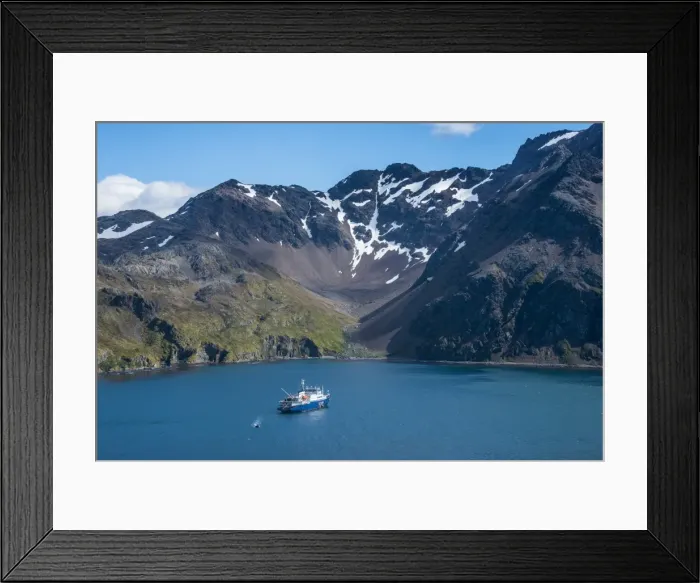 Framed Print : Cruise ship anchoring in the bay of Godthul, South Georgia, Antarctica, Polar Regions Framed Print : Cruise ship anchoring in the bay of Godthul, South Georgia, Antarctica, Polar Regions
