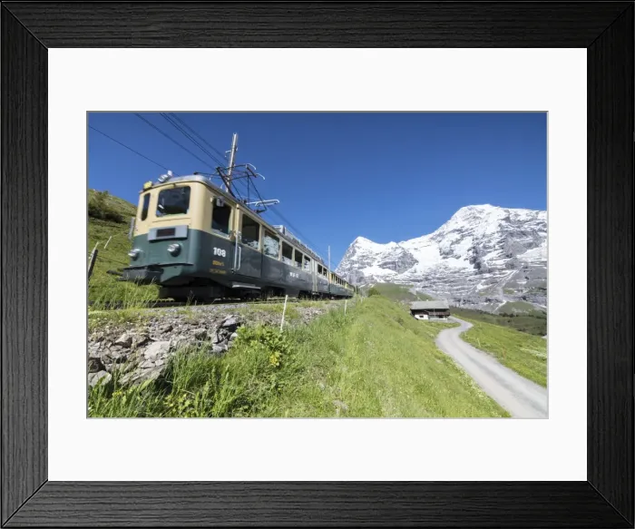 Framed Print : The Wengernalpbahn rack railway runs across meadows and snowy peaks, Wengen, Bernese Oberland Framed Print : The Wengernalpbahn rack railway runs across meadows and snowy peaks, Wengen, Bernese Oberland