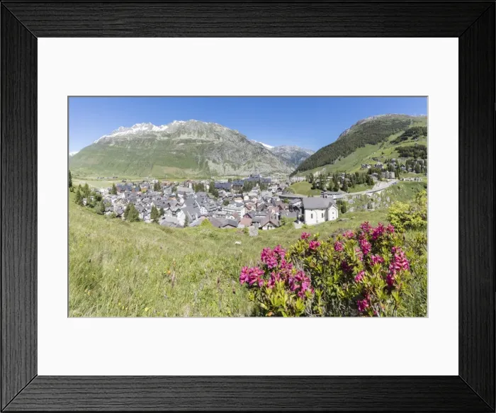Framed Print : Rhododendrons frame the alpine village of Andermatt, surrounded by woods, Canton of Uri Framed Print : Rhododendrons frame the alpine village of Andermatt, surrounded by woods, Canton of Uri