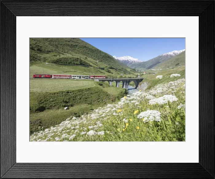 Framed Print : Typical red Swiss train on Hospental Viadukt surrounded by creek and blooming flowers Framed Print : Typical red Swiss train on Hospental Viadukt surrounded by creek and blooming flowers