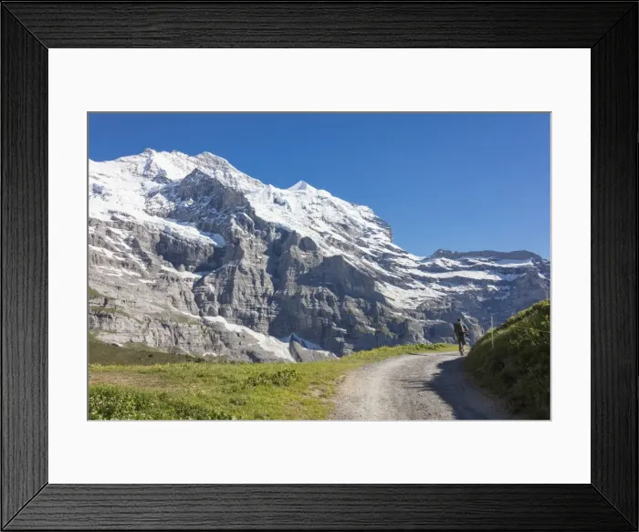 Framed Print : Hiker on the path between green meadows and snowy peaks, Wengernalp, Wengen, Bernese Oberland Framed Print : Hiker on the path between green meadows and snowy peaks, Wengernalp, Wengen, Bernese Oberland