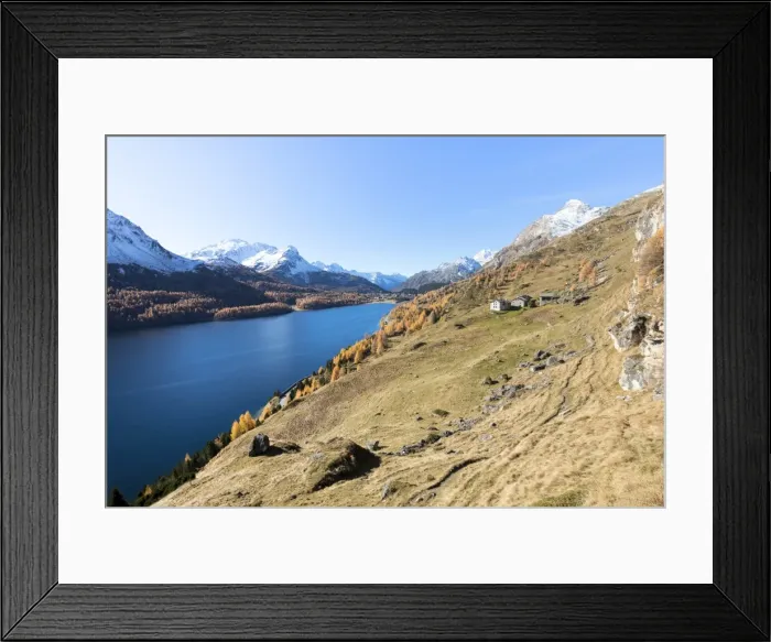 Framed Print : Colorful woods around Lake Sils and the mountain huts of Spluga, Sils, Maloja, Canton
