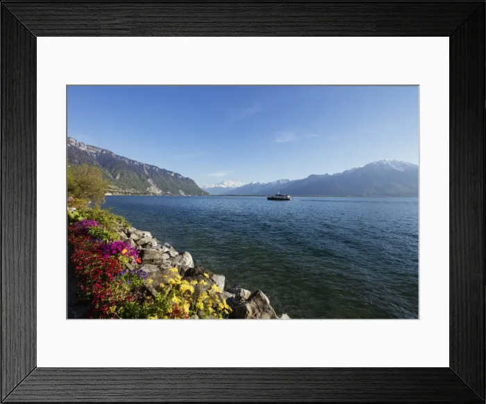 Framed Print : Spring flowers, Lake Geneva (Lac Leman), Montreux, Vaud, Switzerland, Europe Framed Print : Spring flowers, Lake Geneva (Lac Leman), Montreux, Vaud, Switzerland, Europe