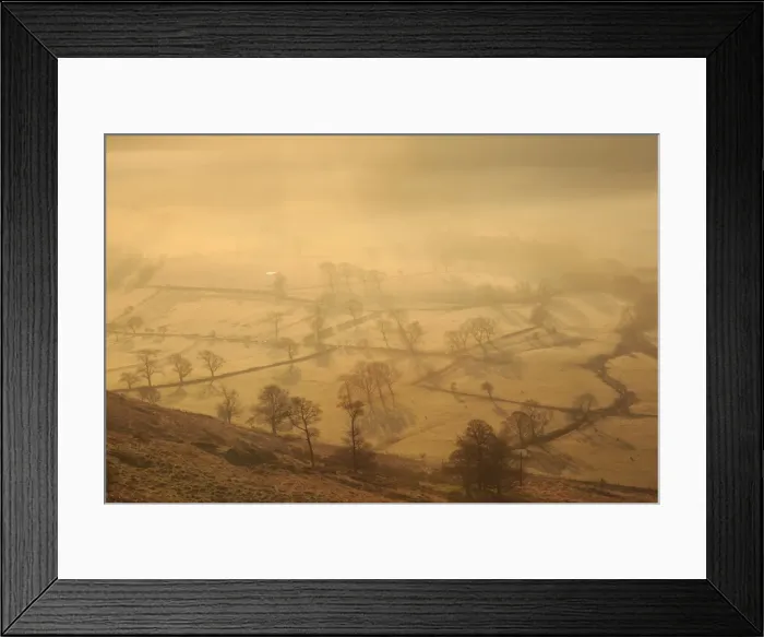 Framed Print : Misty and frosty sunrise over skeletal trees and fields dotted with sheep in winter Framed Print : Misty and frosty sunrise over skeletal trees and fields dotted with sheep in winter