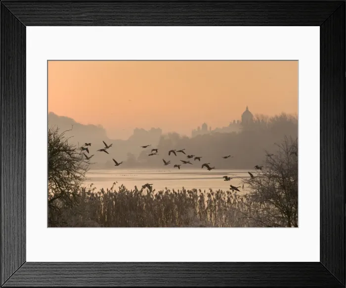 Framed Print : A misty sunrise over the Great Lake on the Castle Howard Estate, North Yorkshire Framed Print : A misty sunrise over the Great Lake on the Castle Howard Estate, North Yorkshire