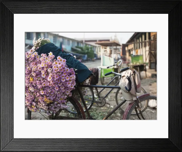 Framed Print : A bike loaded with fresh flowers at the flower market in Mandalay, Myanmar (Burma), Asia Framed Print : A bike loaded with fresh flowers at the flower market in Mandalay, Myanmar (Burma), Asia