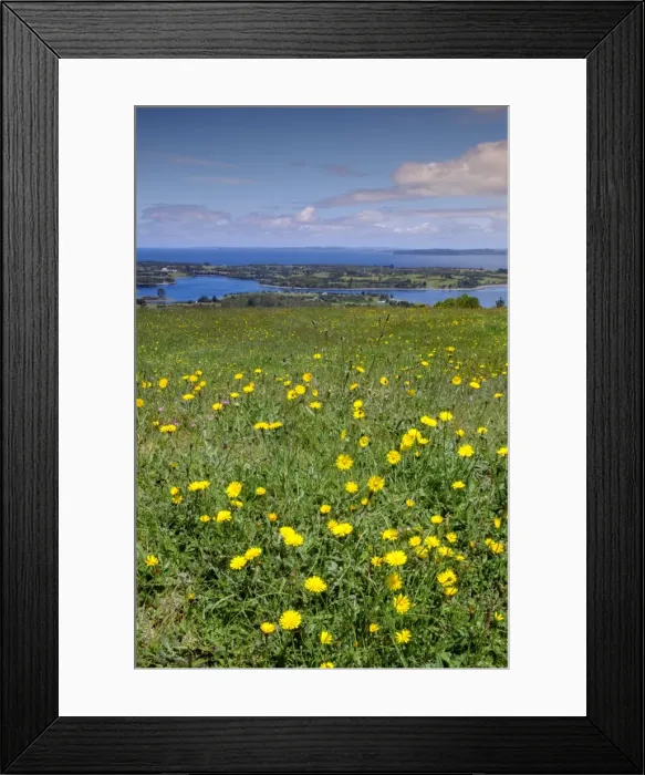 Framed Print : Wild meadowlands on Chiloe Island, Patagonia, Chile, South America Framed Print : Wild meadowlands on Chiloe Island, Patagonia, Chile, South America