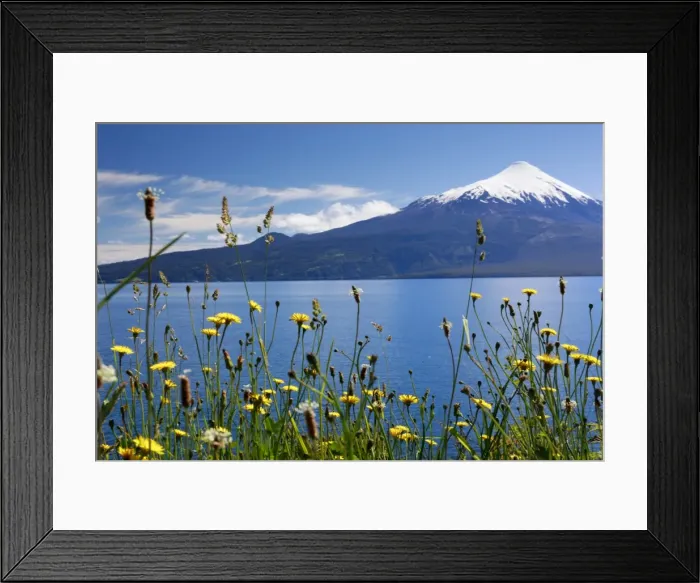 Framed Print : The 2652 metre tall Osorno Volcano, a conical stratovolcano, in northern Patagonia Framed Print : The 2652 metre tall Osorno Volcano, a conical stratovolcano, in northern Patagonia