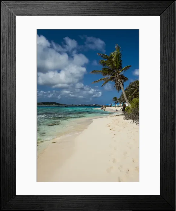 Framed Print : White sand beach and turquoise water on Johny Cay Island, San Andres, Caribbean Sea Framed Print : White sand beach and turquoise water on Johny Cay Island, San Andres, Caribbean Sea