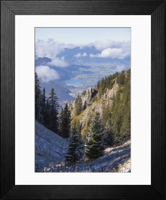 Framed Print : Frost on trees in the woods of the Ammergau Alps, Tegelberg, Fussen, Bavaria, Germany