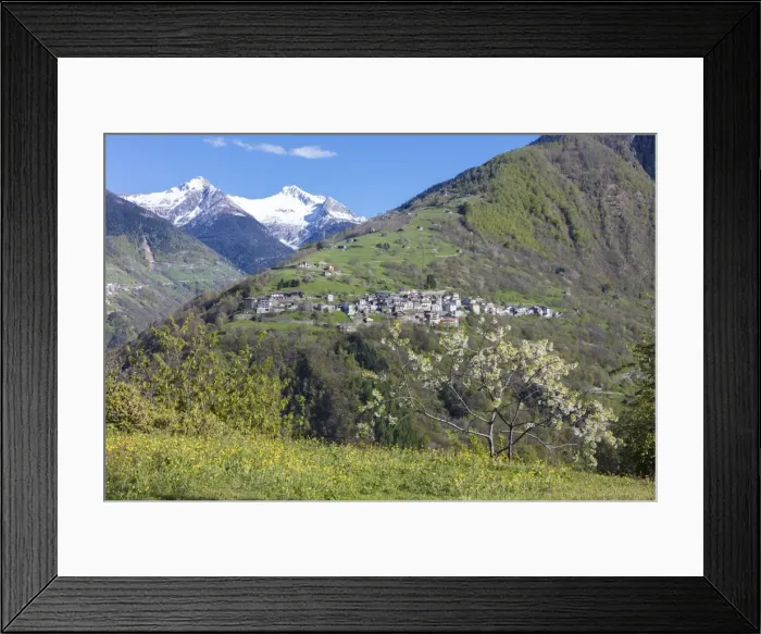 Framed Print : The cherry tree in bloom frames the alpine village of Bema, Orobie Alps, Gerola Valley Framed Print : The cherry tree in bloom frames the alpine village of Bema, Orobie Alps, Gerola Valley