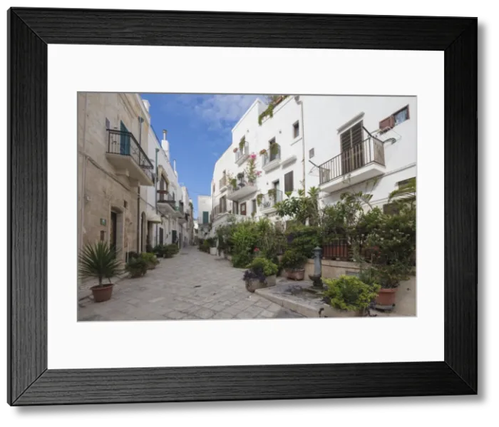 Framed Print : Typical alley and houses of the old town, Polignano a Mare, Province of Bari, Apulia Framed Print : Typical alley and houses of the old town, Polignano a Mare, Province of Bari, Apulia