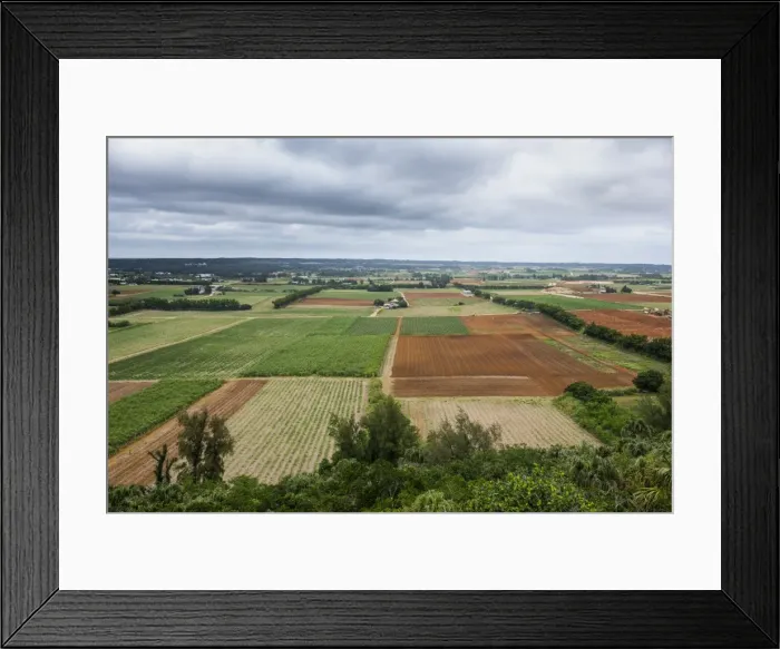 Framed Print : Agricultural fields, Minami Daito, Daito Islands, Japan, Asia Framed Print : Agricultural fields, Minami Daito, Daito Islands, Japan, Asia
