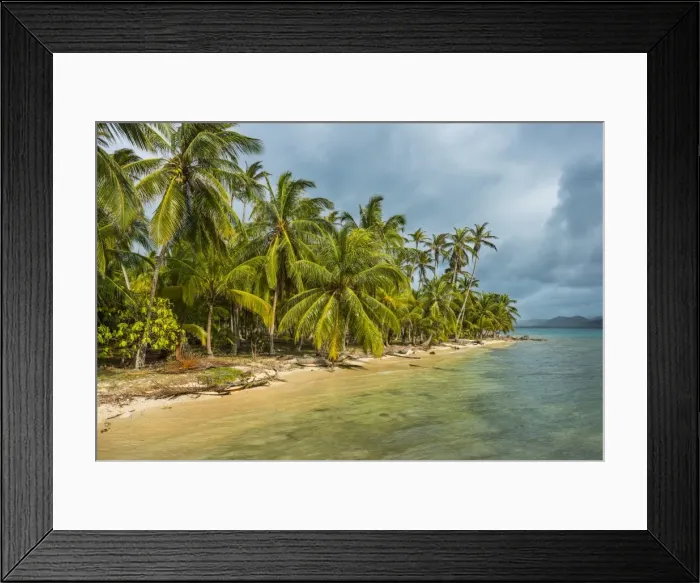 Framed Print : Beautiful palm fringed beach, Achutupu, San Blas Islands, Kuna Yala, Panama, Central Framed Print : Beautiful palm fringed beach, Achutupu, San Blas Islands, Kuna Yala, Panama, Central