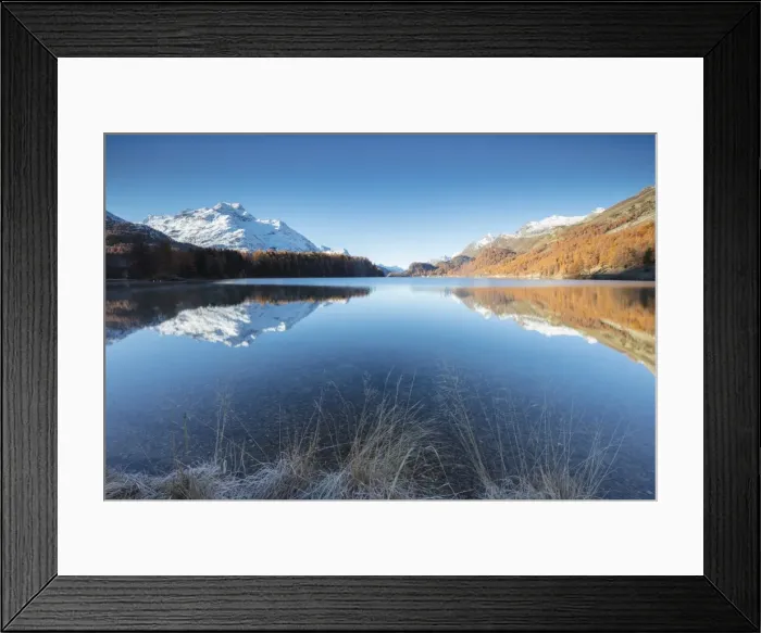 Framed Print : The snowy peaks and colorful woods are reflected in Lake Champfer, St. Moritz, Canton of Graubunden Framed Print : The snowy peaks and colorful woods are reflected in Lake Champfer, St. Moritz, Canton of Graubunden