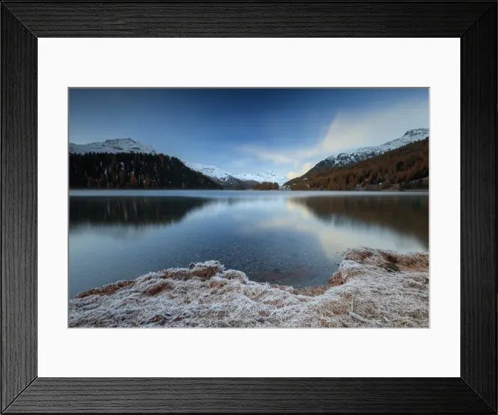 Framed Print : The colorful woods and snowy peaks are reflected in Lake Sils at daw, Maloja, Canton of Graubunden Framed Print : The colorful woods and snowy peaks are reflected in Lake Sils at daw, Maloja, Canton of Graubunden