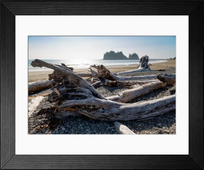 Framed Print : James Island and driftwood on the beach at La Push on the Pacific Northwest, Washington State Framed Print : James Island and driftwood on the beach at La Push on the Pacific Northwest, Washington State