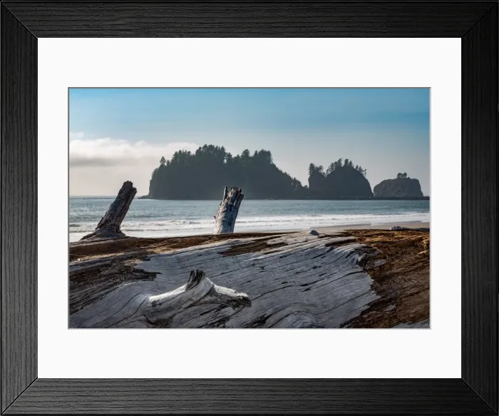 Framed Print : James Island with driftwood on the beach at La Push on the Pacific Northwest coast Framed Print : James Island with driftwood on the beach at La Push on the Pacific Northwest coast