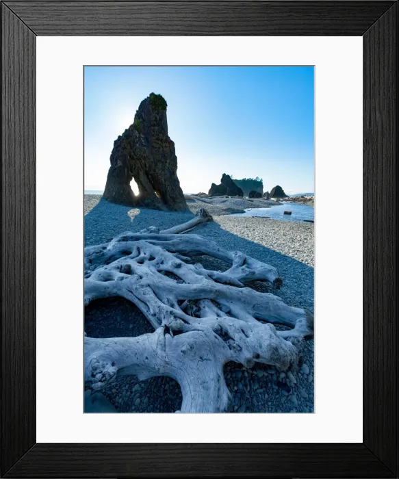 Framed Print : Driftwood and sea stacks on Ruby Beach in the Olympic National Park, UNESCO World Heritage Site Framed Print : Driftwood and sea stacks on Ruby Beach in the Olympic National Park, UNESCO World Heritage Site