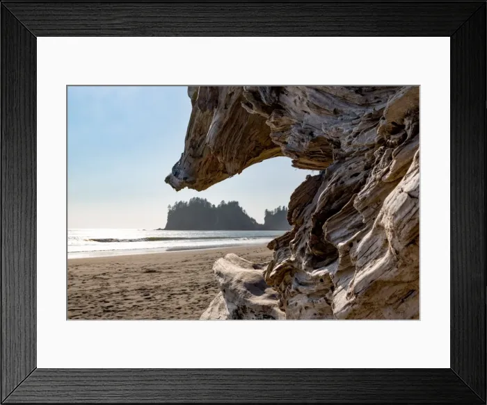 Framed Print : Headland at La Push Beach in the the Pacific Northwest, Washington State, United States of America Framed Print : Headland at La Push Beach in the the Pacific Northwest, Washington State, United States of America