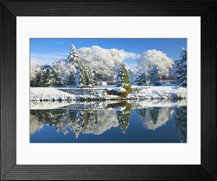 Framed Print : Bute Park in snow, Cardiff, Wales, United Kingdom, Europe Framed Print : Bute Park in snow, Cardiff, Wales, United Kingdom, Europe