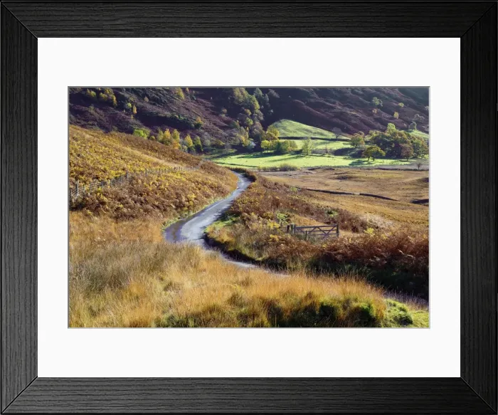 Framed Print : An autumn view of a gate and winding road through the fern covered hills and fells Framed Print : An autumn view of a gate and winding road through the fern covered hills and fells