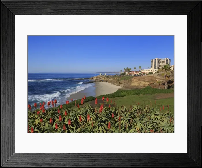 Framed Print : La Jolla, San Diego, California, United States of America, North America Framed Print : La Jolla, San Diego, California, United States of America, North America