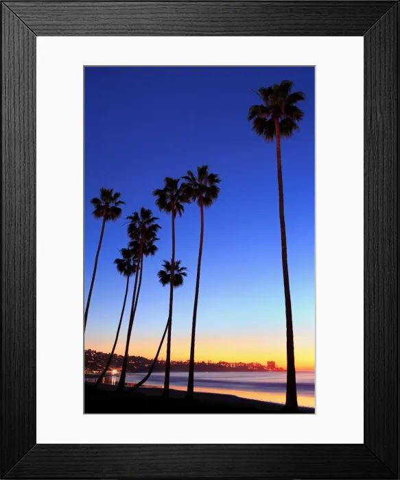 Framed Print : Palm trees, La Jolla Shores Beach, La Jolla, San Diego, California, United States of America Framed Print : Palm trees, La Jolla Shores Beach, La Jolla, San Diego, California, United States of America