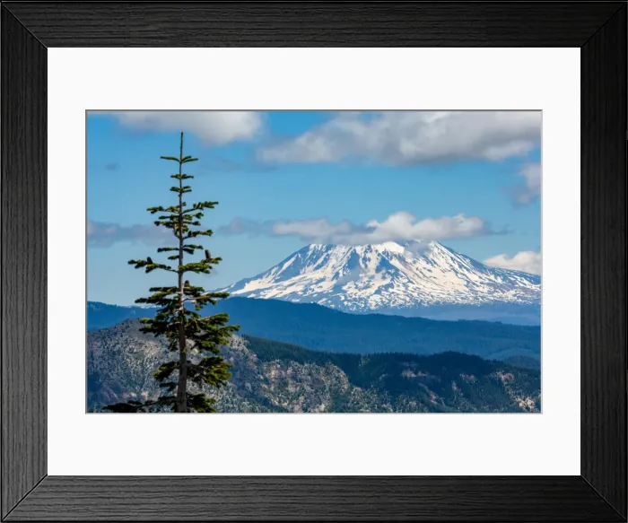 Framed Print : Mount Adams seen from Mount St. Helens, part of the Cascade Range, Pacific Northwest region Framed Print : Mount Adams seen from Mount St. Helens, part of the Cascade Range, Pacific Northwest region