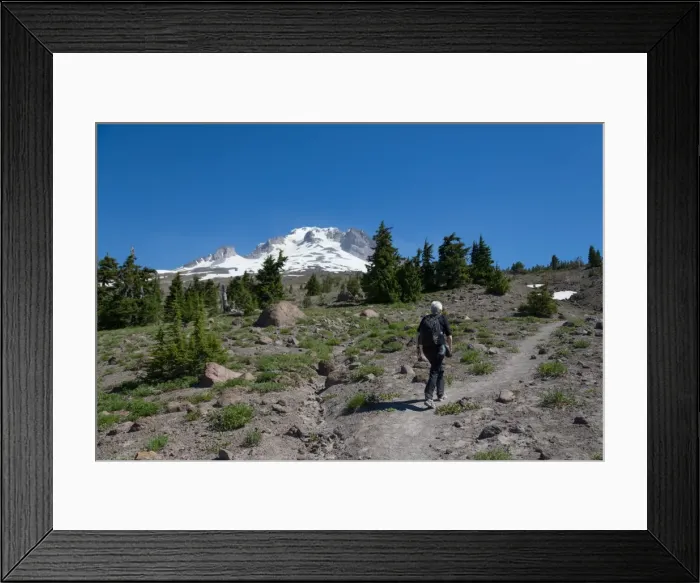 Framed Print : Lady hiker walking on a trail on Mount Hood, part of the Cascade Range, Pacific Northwest region Framed Print : Lady hiker walking on a trail on Mount Hood, part of the Cascade Range, Pacific Northwest region
