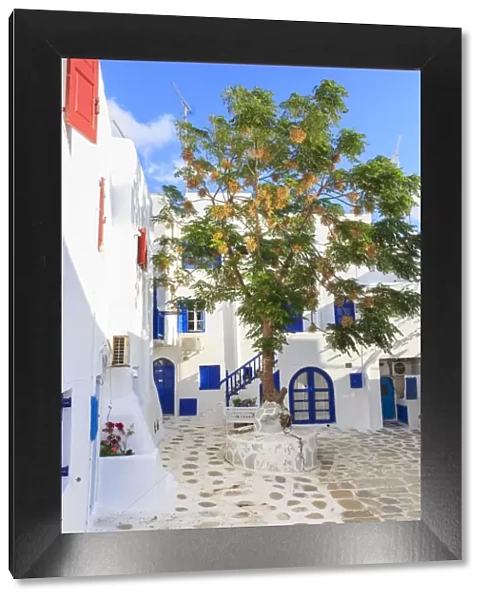 Square with blossoming tree, whitewashed buildings, blue sky, Mykonos Town, Mykonos