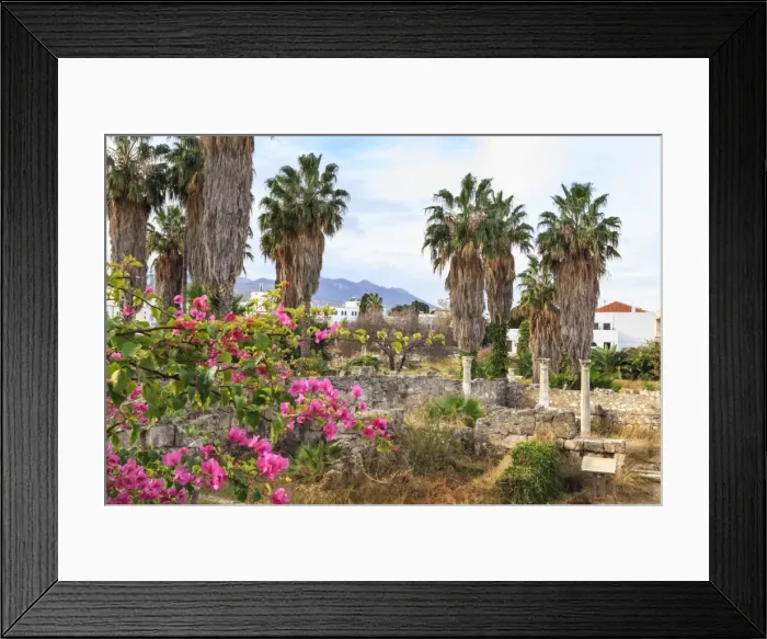 Framed Print : Ancient Agora, Bougainvillea and palm trees, Greek, Roman and Byzantine ruins, Kos Town Framed Print : Ancient Agora, Bougainvillea and palm trees, Greek, Roman and Byzantine ruins, Kos Town