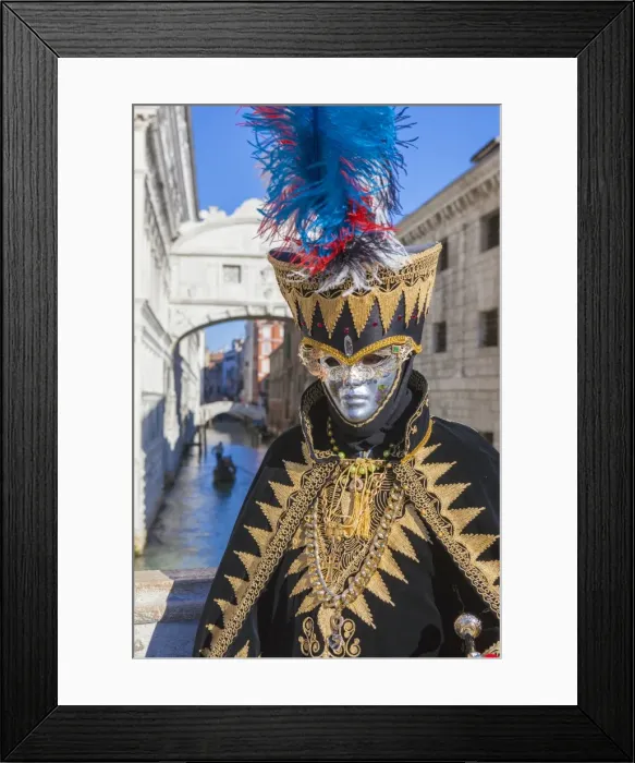 Framed Print : Colourful mask and costume of Carnival of Venice, Venice, Veneto, Italy, Europe Framed Print : Colourful mask and costume of Carnival of Venice, Venice, Veneto, Italy, Europe