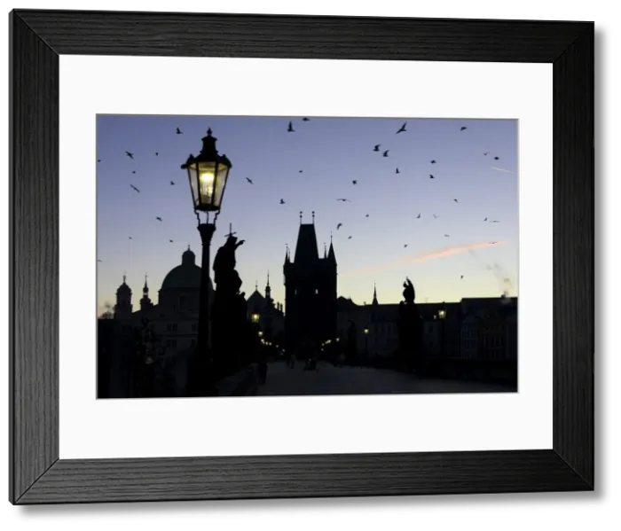Framed Print : A flock of birds flies on the historical Charles Bridge on Vltava River at dawn Framed Print : A flock of birds flies on the historical Charles Bridge on Vltava River at dawn