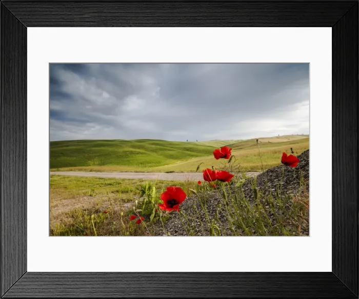 Framed Print : Red flowers and clouds frame the gentle green hills of Val d Orcia, UNESCO World Heritage Site Framed Print : Red flowers and clouds frame the gentle green hills of Val d Orcia, UNESCO World Heritage Site