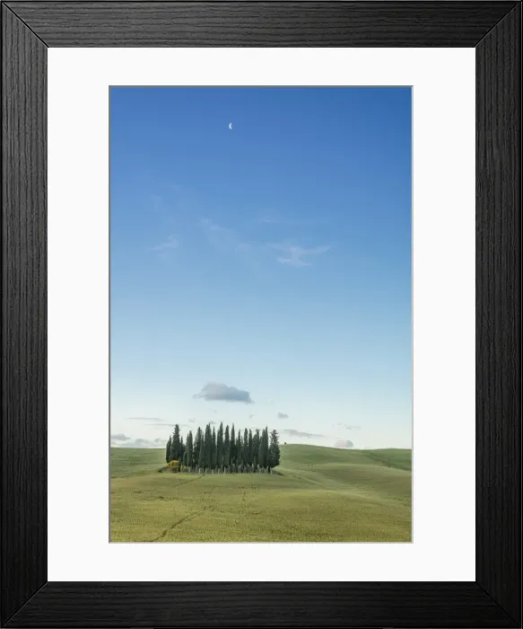 Framed Print : Dusk frames the cypresses on the gentle green hills of Val d Orcia, UNESCO World Heritage Site Framed Print : Dusk frames the cypresses on the gentle green hills of Val d Orcia, UNESCO World Heritage Site